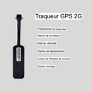 GPS Traceur En Temps Réel