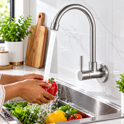 Robinet de cuisine eau froide AG-W2002